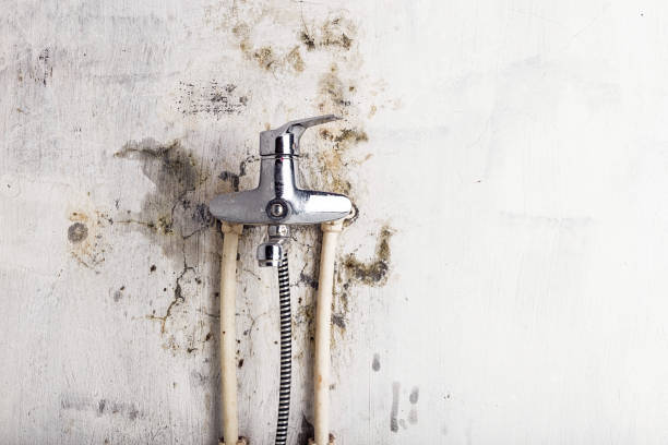 Best Health and Safety Mold Remediation in Baker City, OR