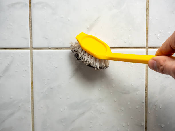 Best Kitchen Mold Remediation in Baker City, OR