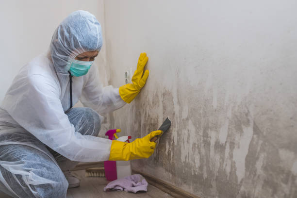 Baker City, OR Mold Remediation Company