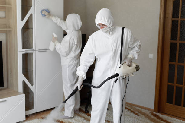 Best Post-Flood Mold Remediation in Baker City, OR