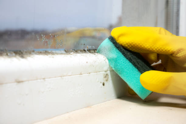 Best Kitchen Mold Remediation in Baker City, OR